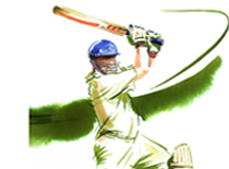 Cricket